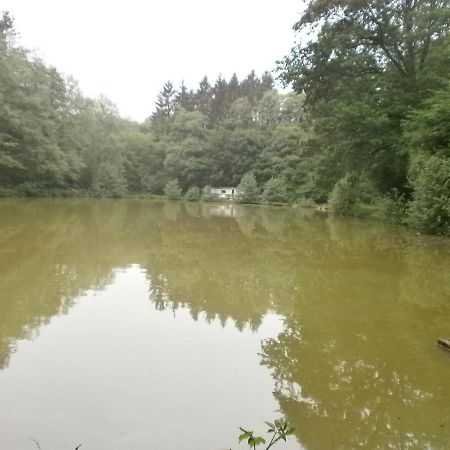 Gite Le Sous-Bois Cerfontaine Kültér fotó