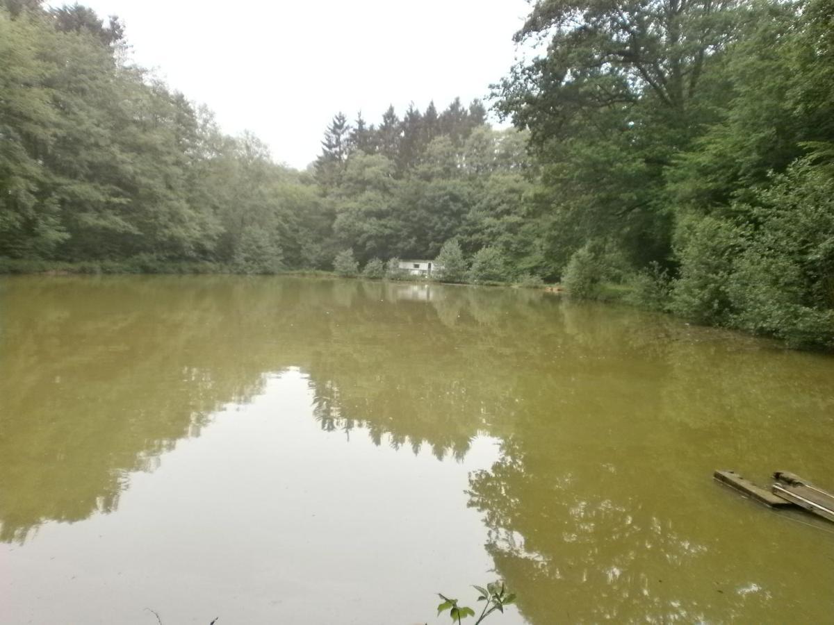 Gite Le Sous-Bois Cerfontaine Kültér fotó